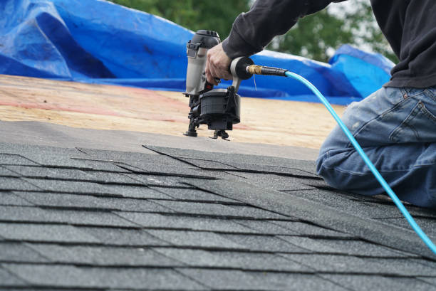 Best Asphalt Shingles Roofing  in Harristown, IL