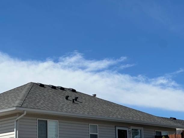 Best Gutter Installation and Repair  in Harristown, IL